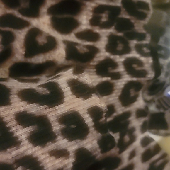 Torrid Leopard Long Sleeve Raglan Sweatshirt Size 1/14 - Picture 6 of 8